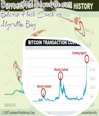 Bitcoin crashed binanceus to bug
