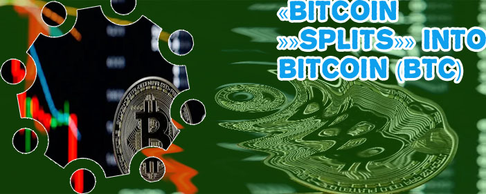 Bitcoin price crashed thanks bug