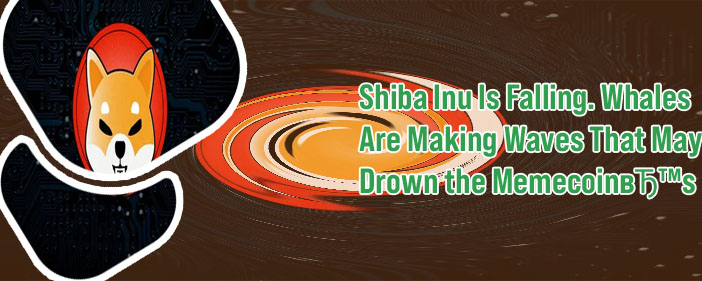Crypto shiba inu