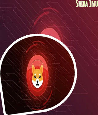 Shiba inu cryptocurrency