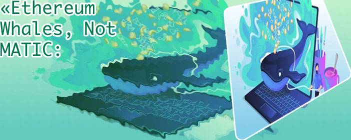 Whale watcher crypto