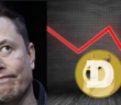 musk 110x96 - Did Elon Musk Lose his Power to Control the Crypto Market?